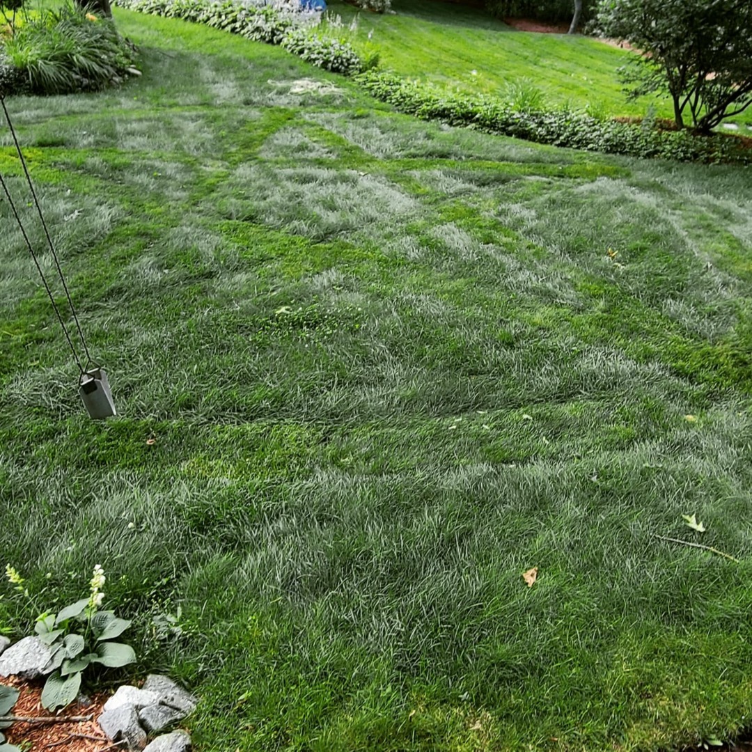 Lawn Pentacle