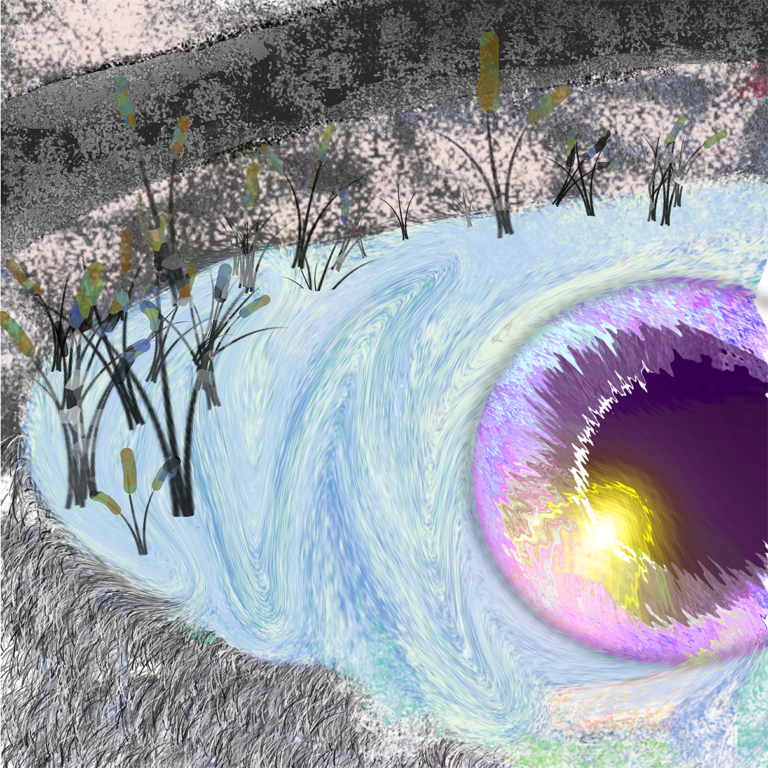 Eye of the Pond by Bardos