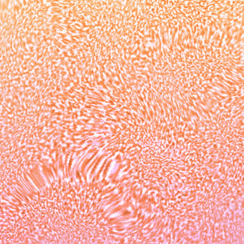 Citrus Sun Texture Close Up