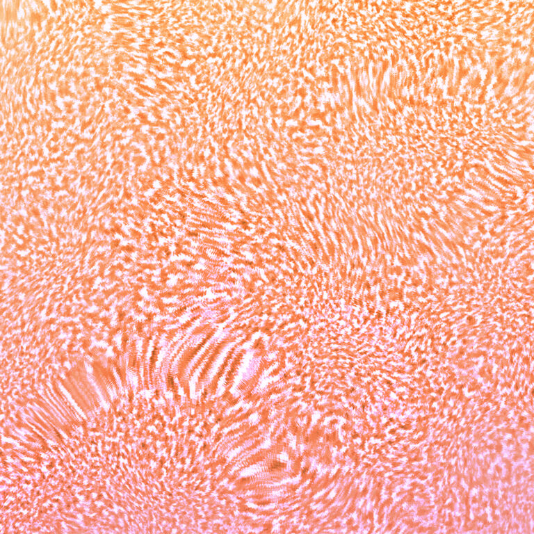 Citrus Sun Texture Close Up