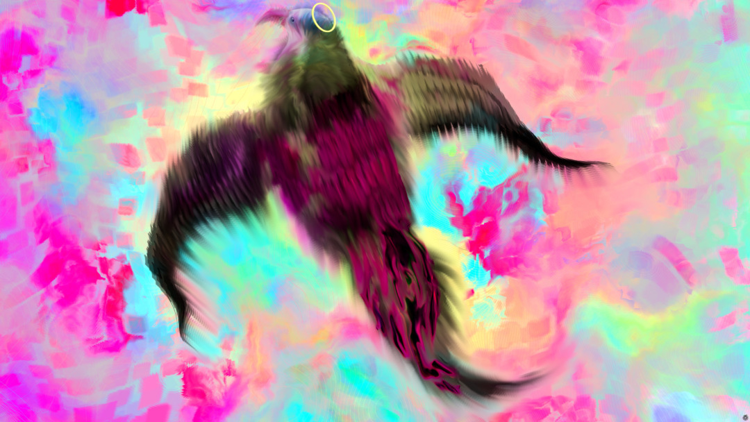 Code Albatross by Bardos