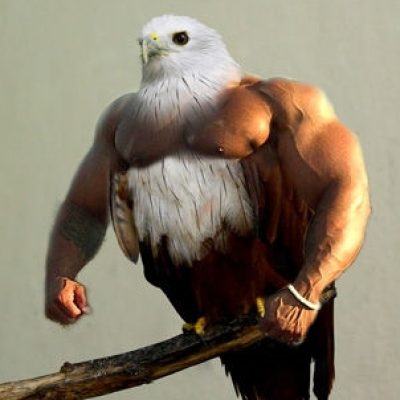 BirdsWithArms01